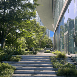 Image of Japanese building modern with glass and concrete steps